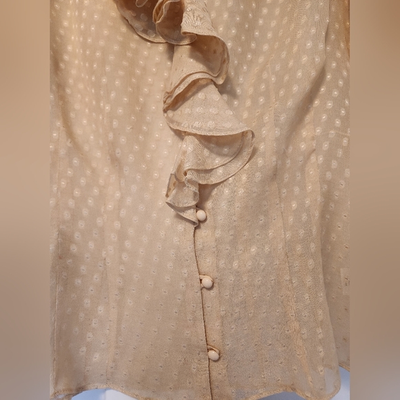 Milly New York Sheer Silk Polka-dot Button Up Blouse Shirt Top Cream sz 6 Ruffle - Picture 3 of 10